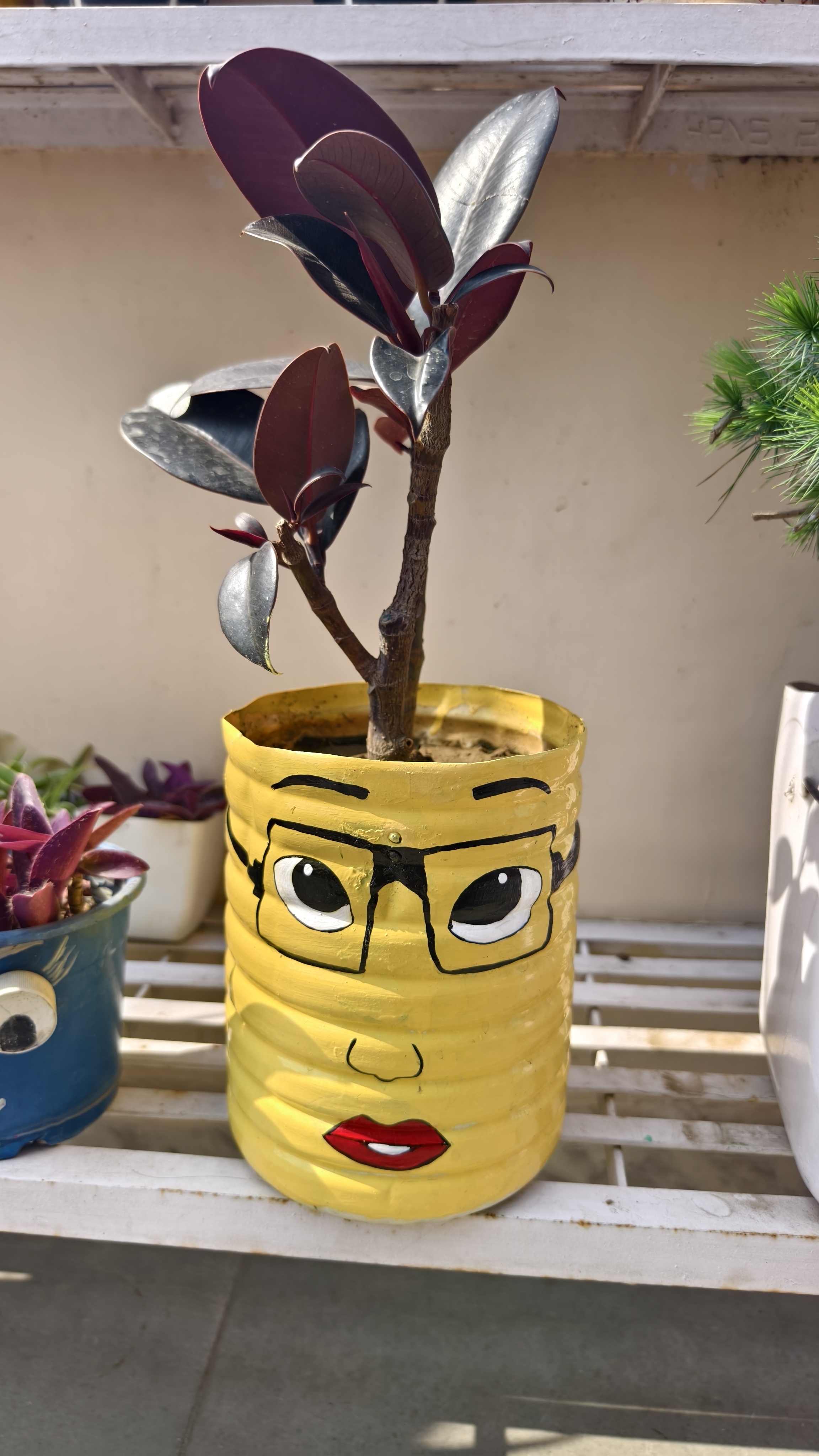 Chasmish Planter