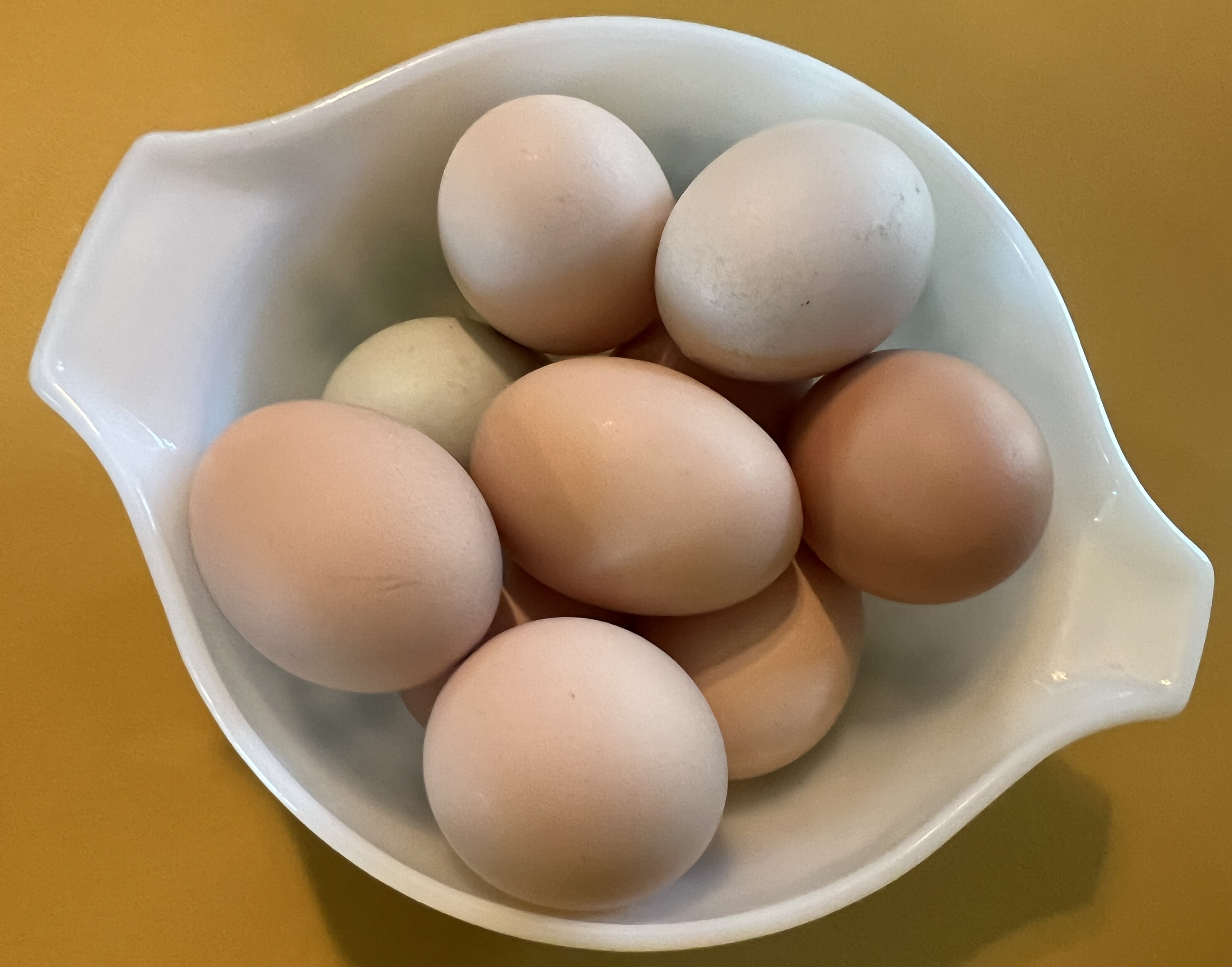 Farm Fresh Eggs