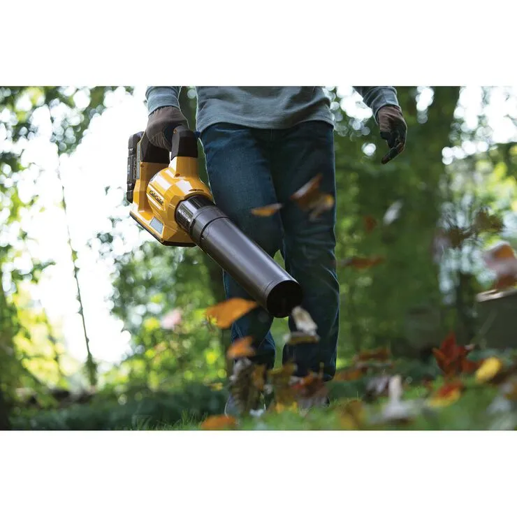Cub Cadet 60V Bladblazer