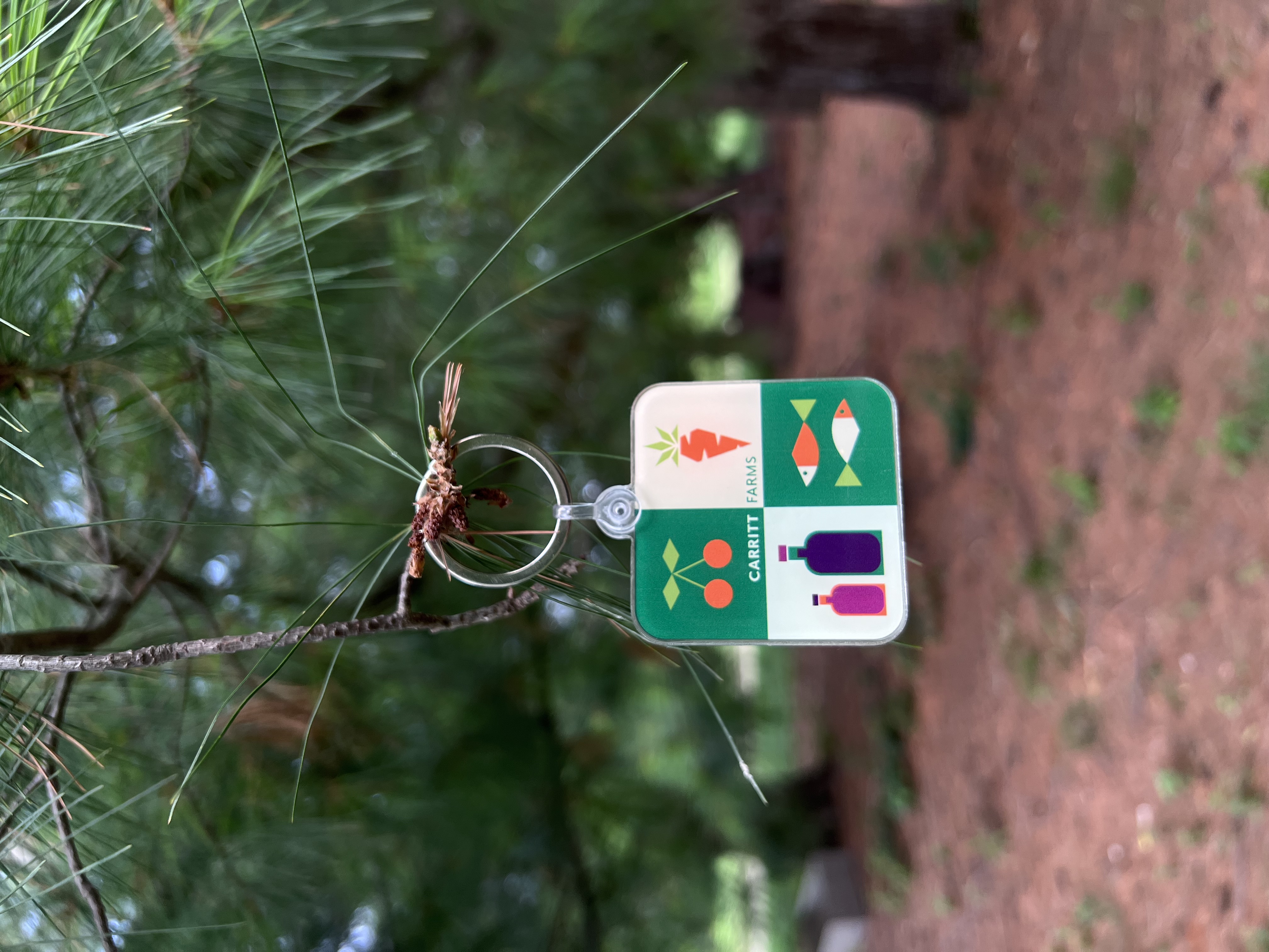 Geometric Icons Keychain