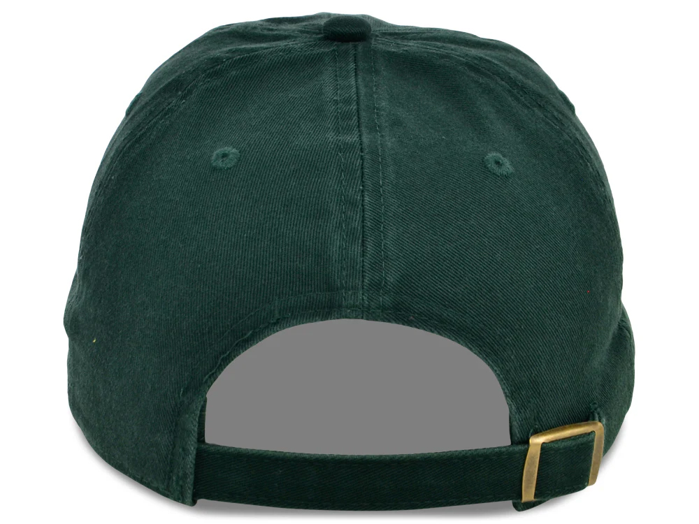 Dad Hat - Carritt Farms Logo 