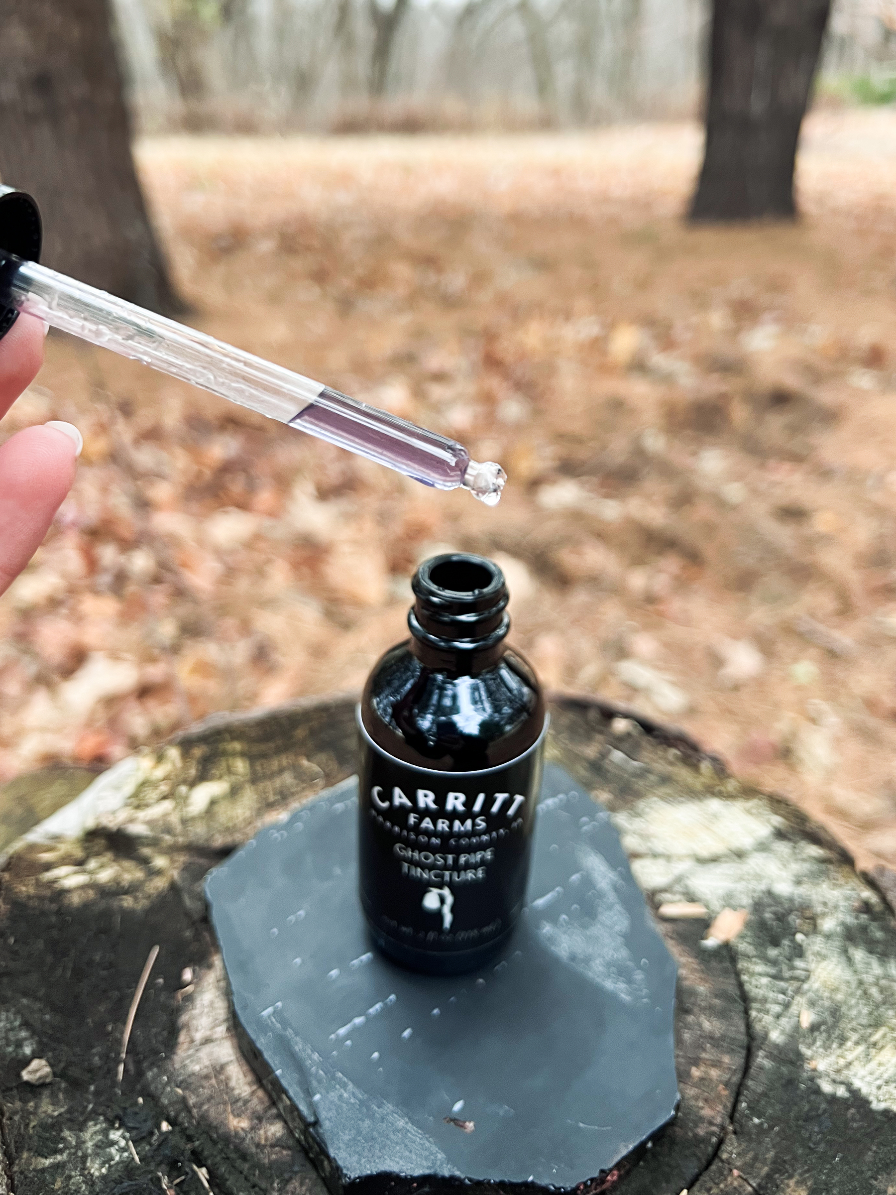 Ghost Pipe Tincture