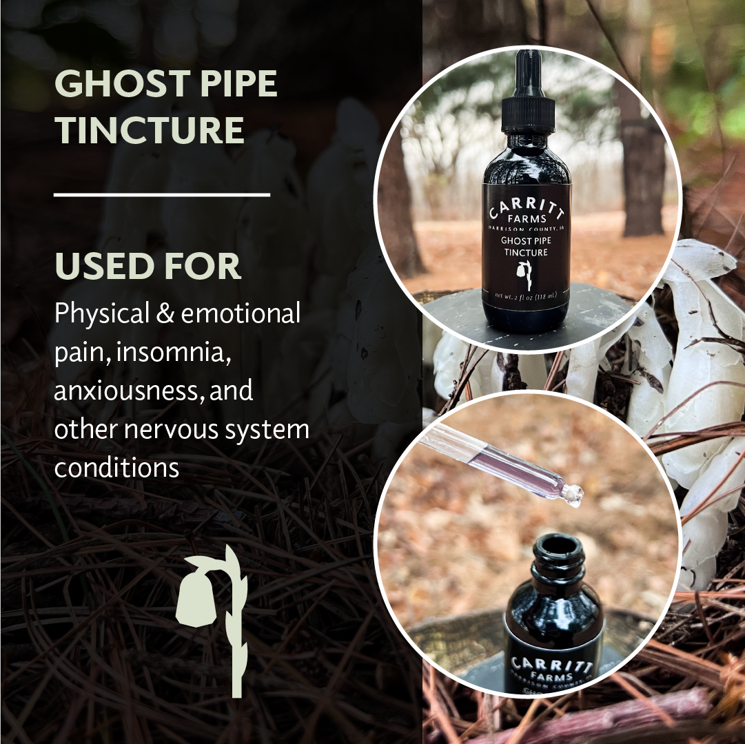 Ghost Pipe Tincture