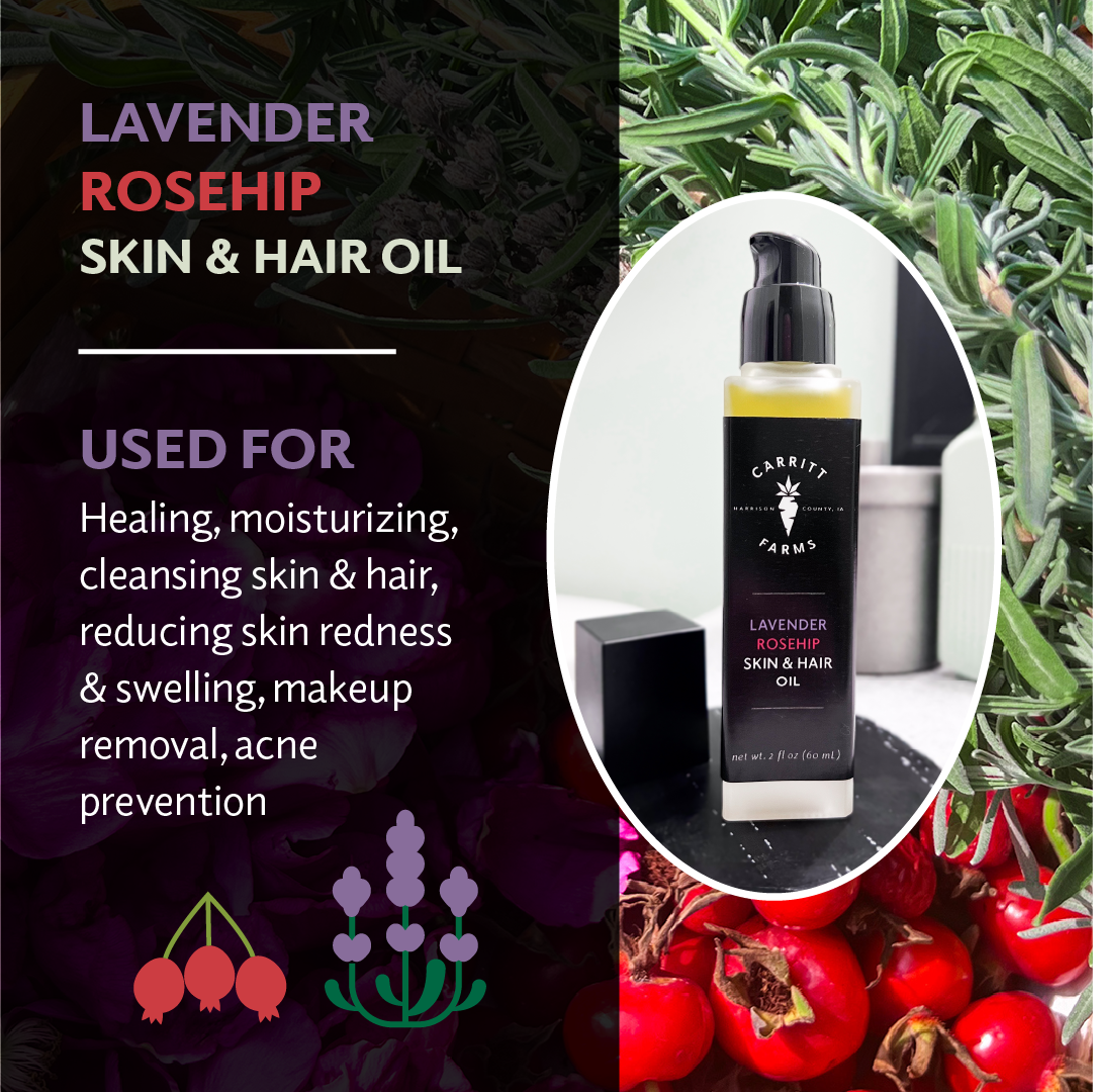 Lavender Rosehip Infused Oil