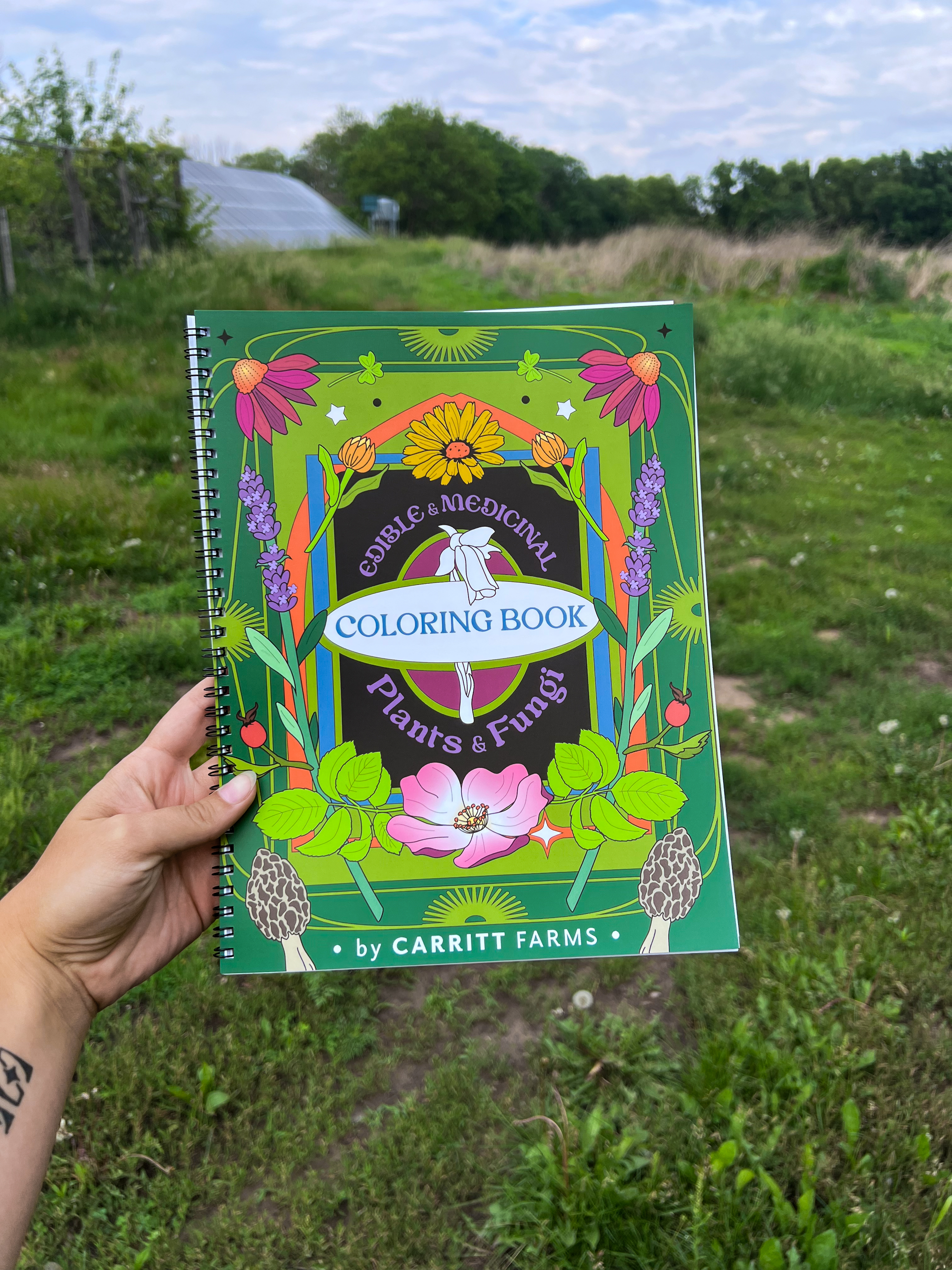 Coloring Book - Edible & Medicinal Plants & Fungi