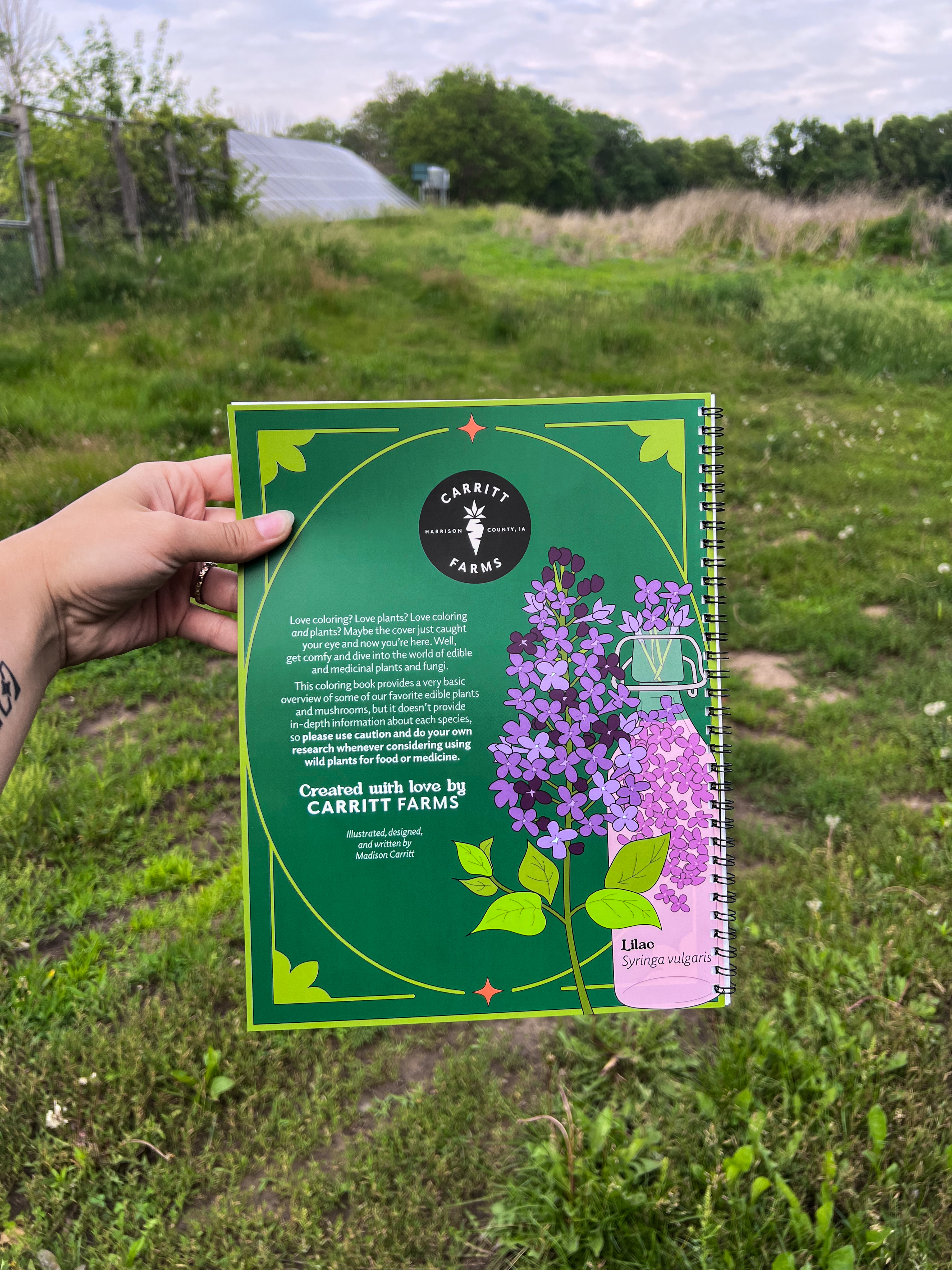 Coloring Book - Edible & Medicinal Plants & Fungi