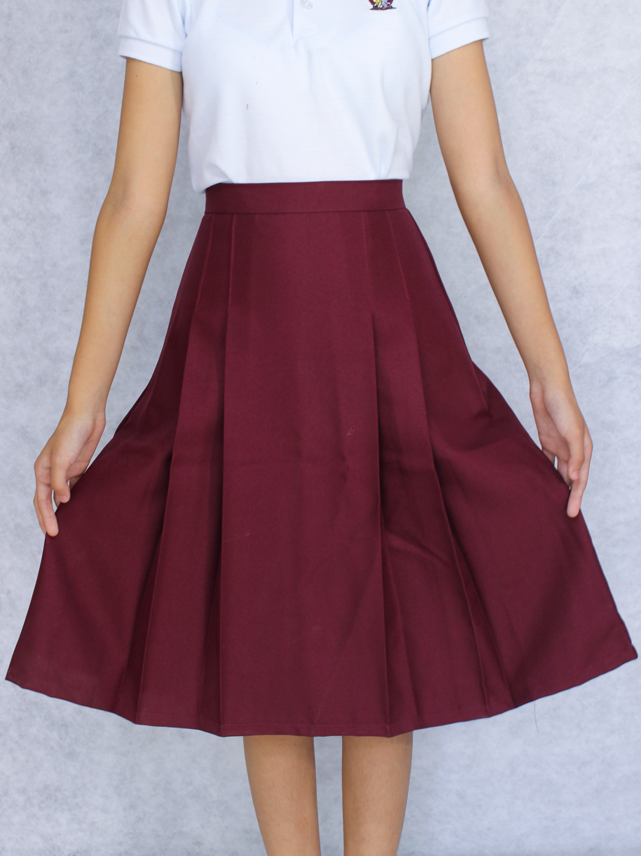 Falda (uniforme de Gobierno)