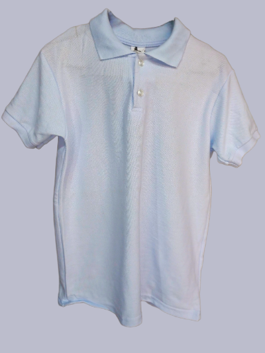 Playera