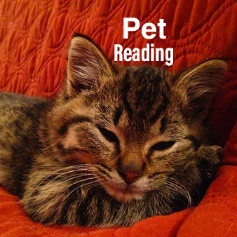 Purchase Pet Reading