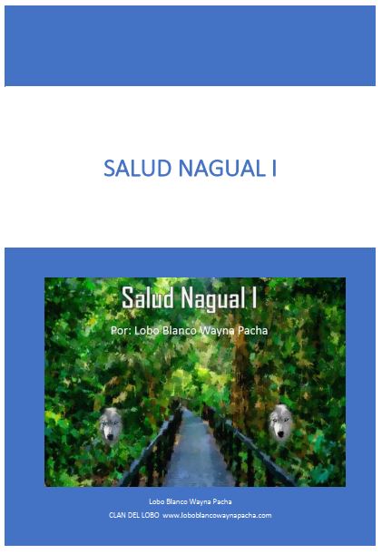 SALUD NAGUAL I