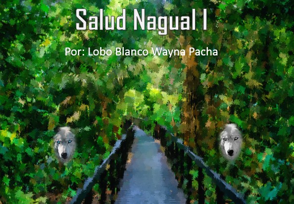 SALUD NAGUAL I
