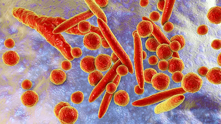 Mycoplasma ENCODE 20T