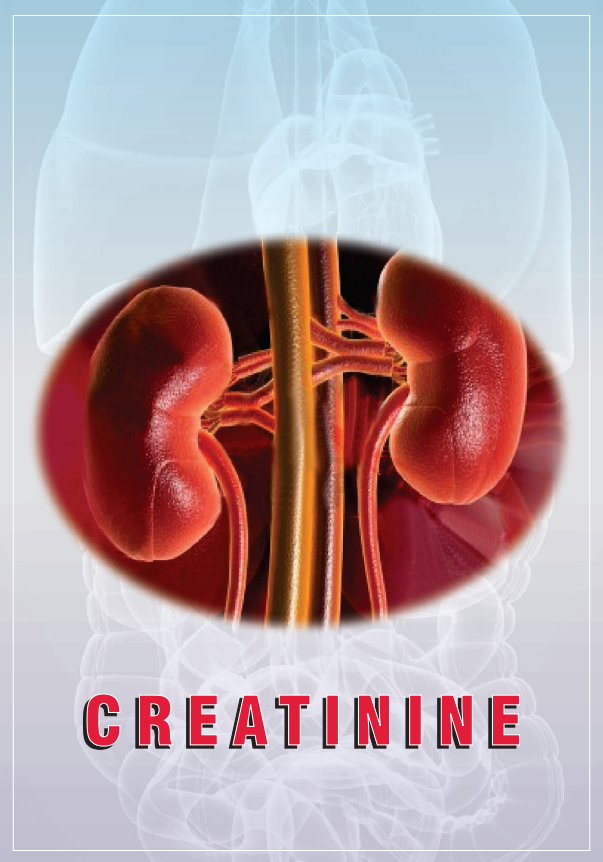 CREATININE KIT 2 X 500 ml