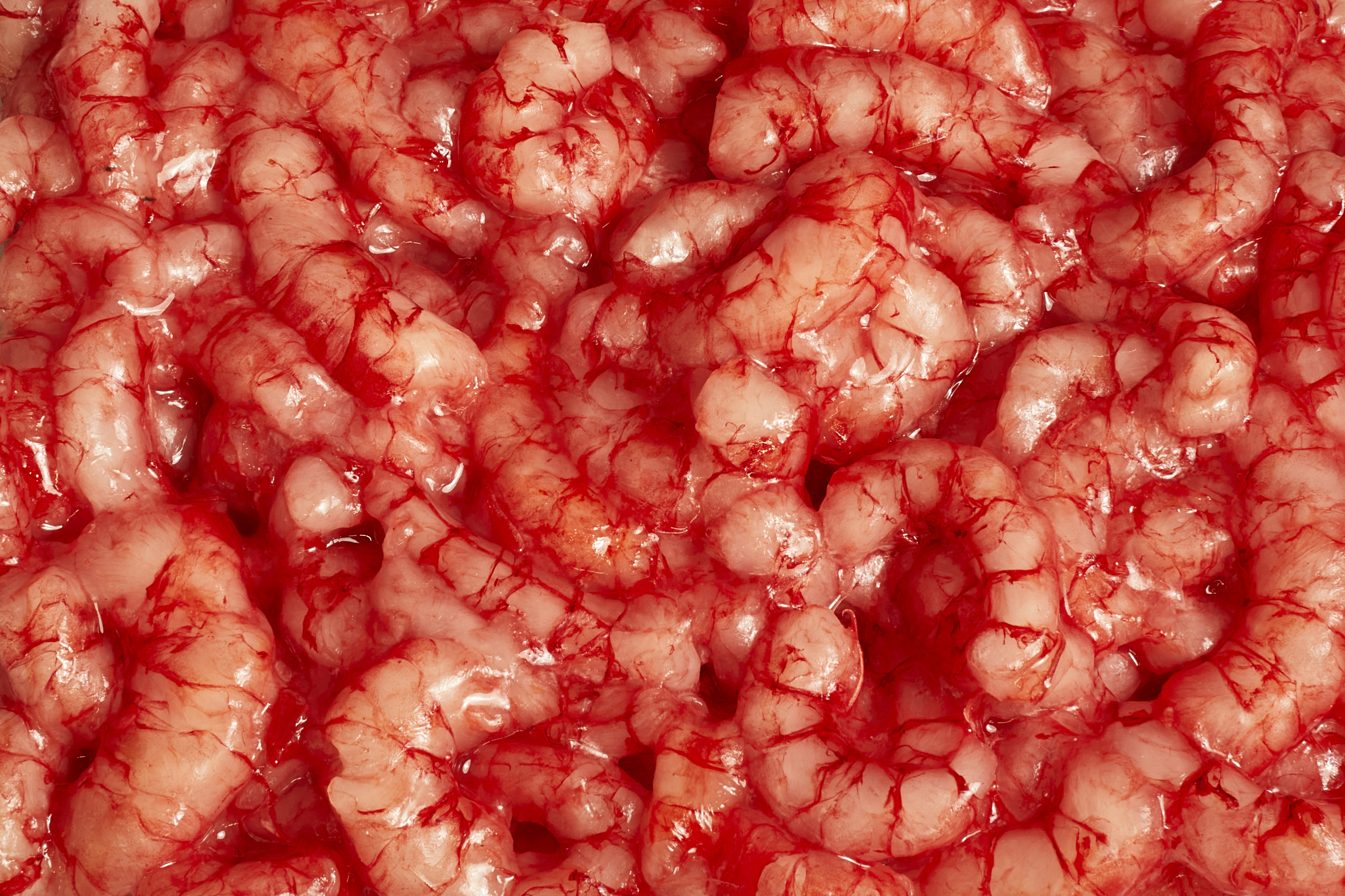 Naked Prawns 