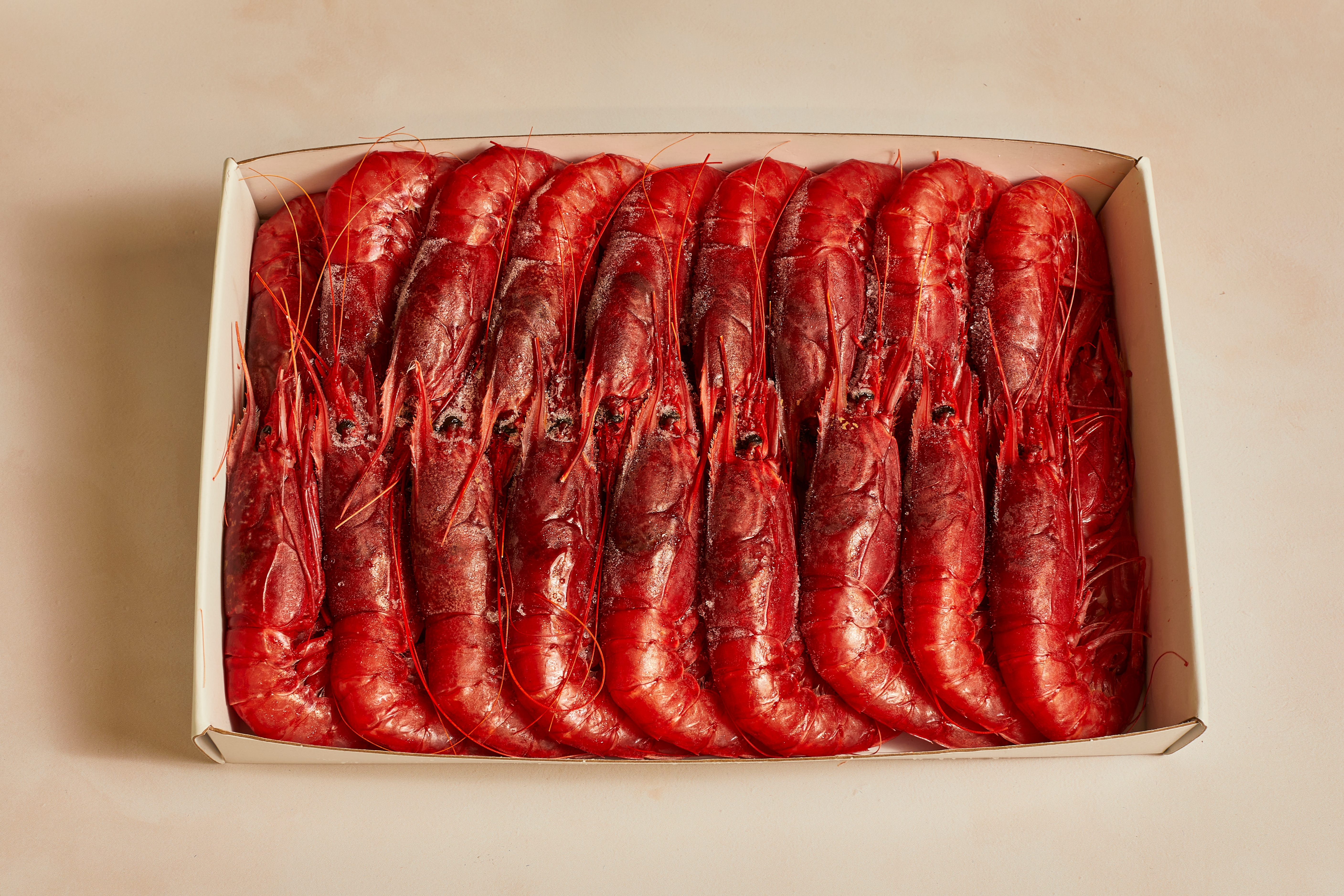 Red Prawns 