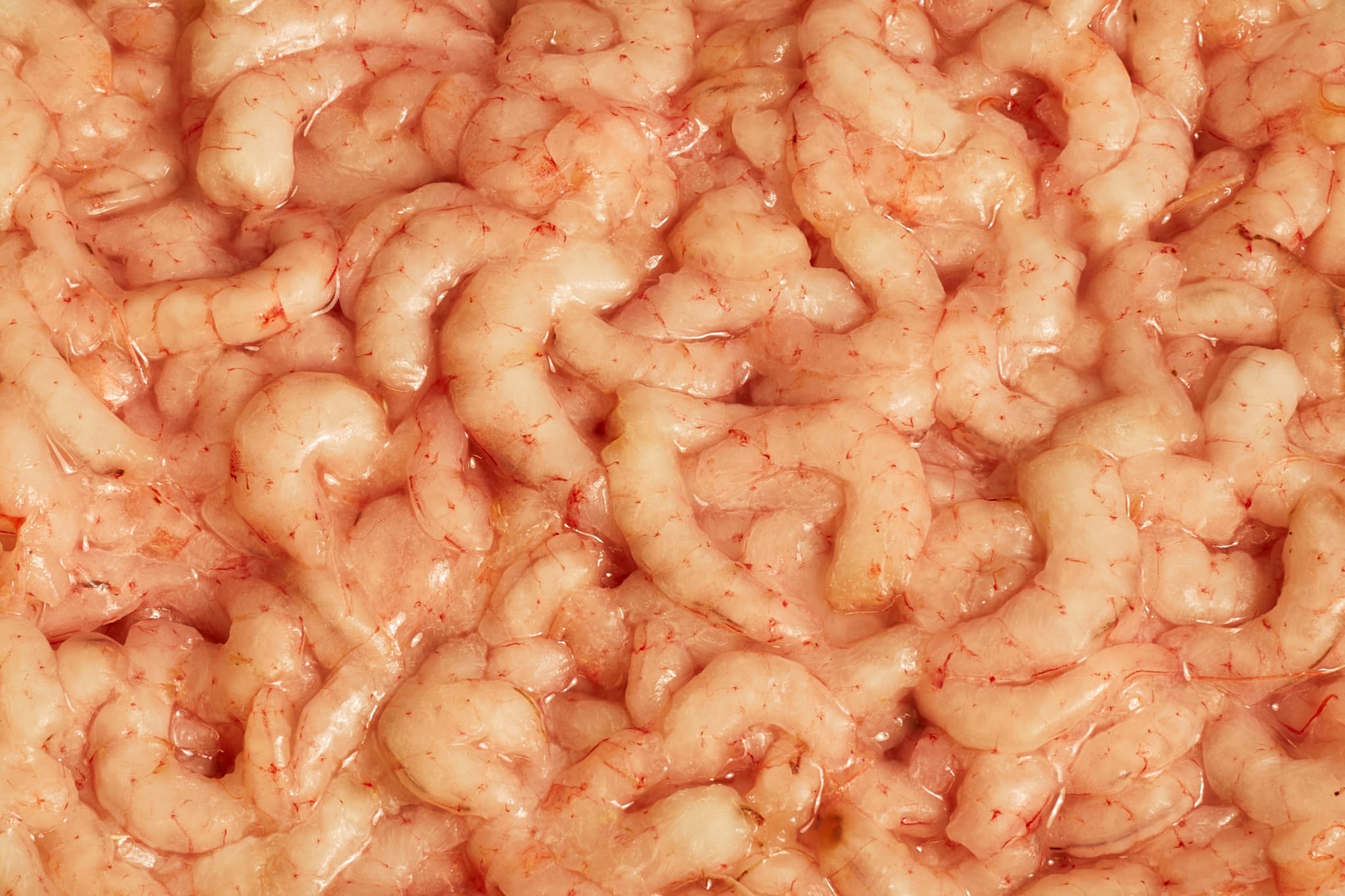 Naked Prawns 