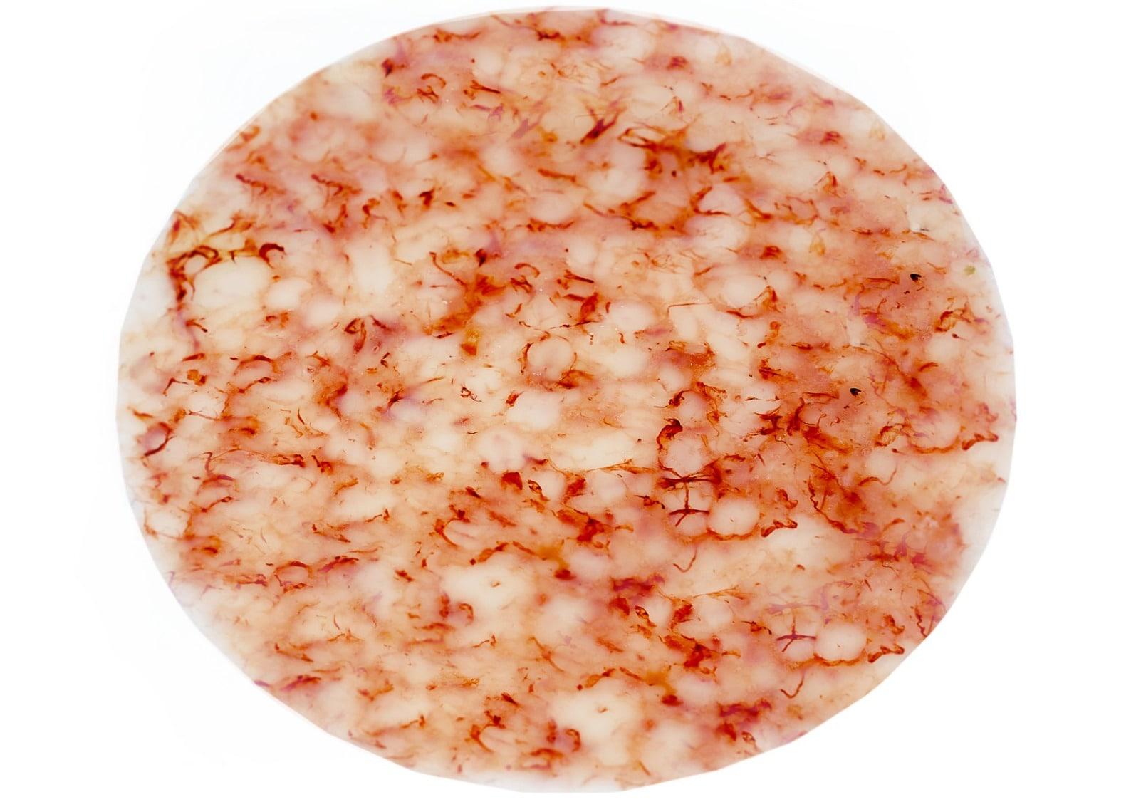 Carpaccio