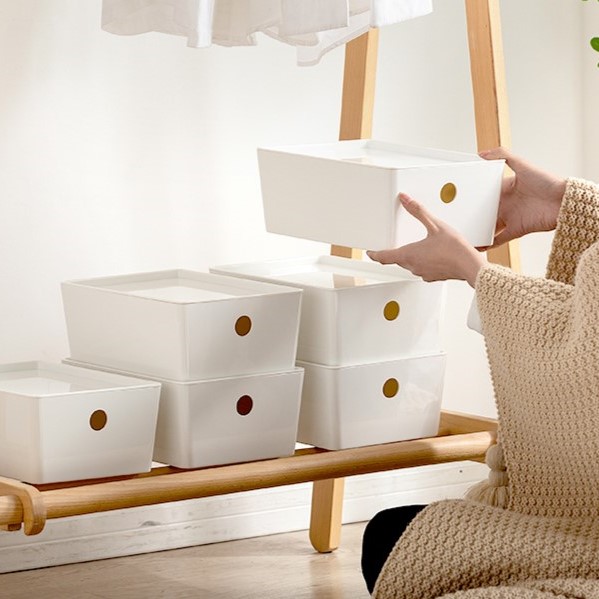 Plastic Storage Box With Lid (S-L)