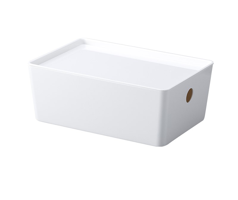 Plastic Storage Box With Lid (S-L)