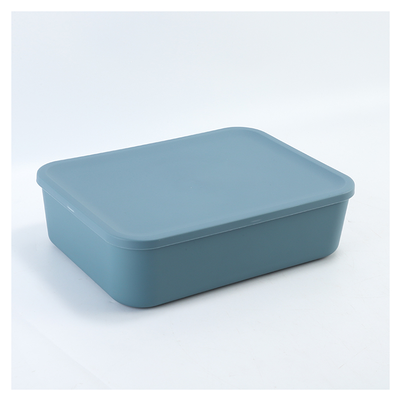 Large Storage Box with Lid (L/XL)