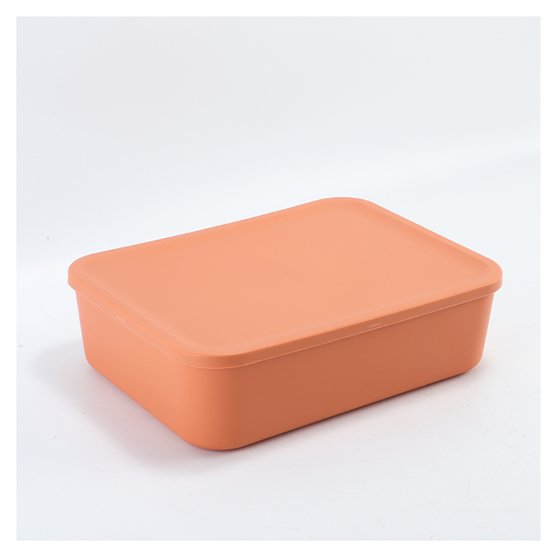 Large Storage Box with Lid (L/XL)