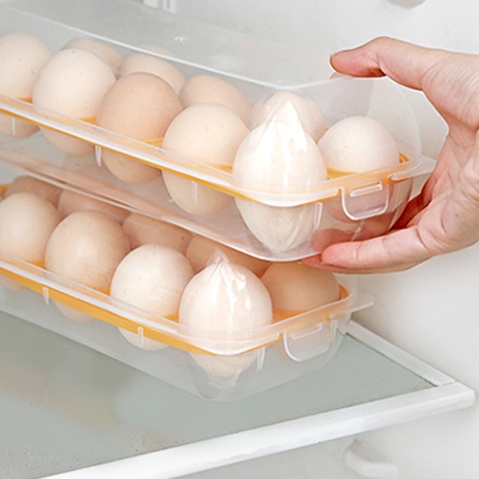 Egg Box (can hold 10)