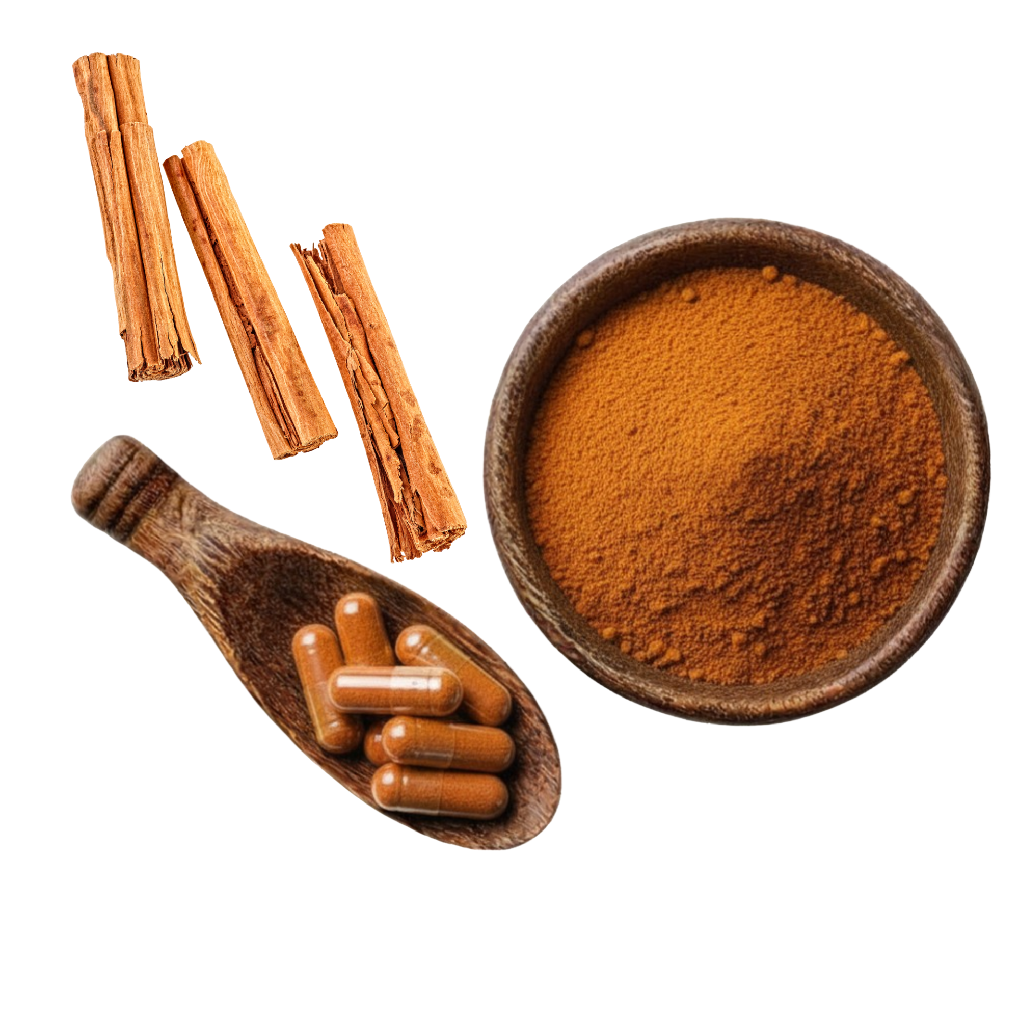 Ceylon Cinnamon Bark Extract Powder