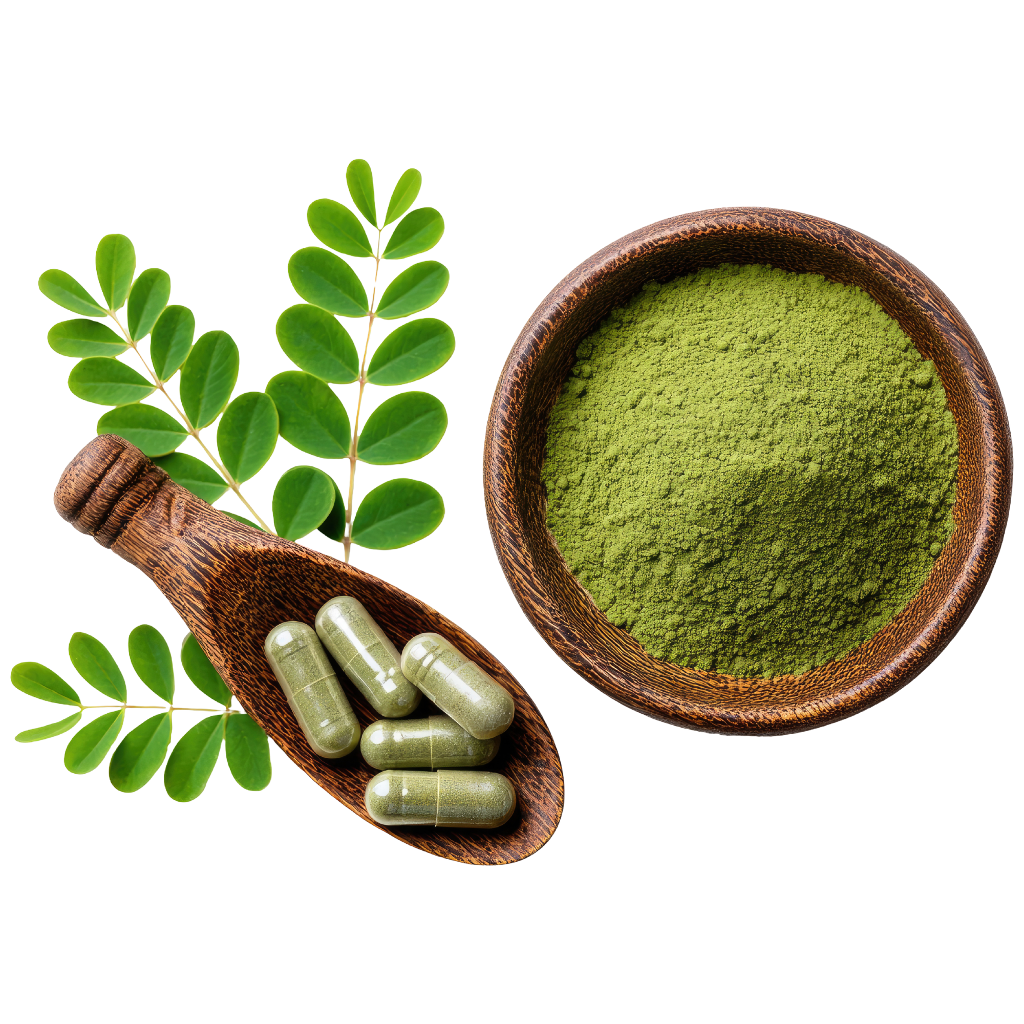 Organic Moringa Leaves Extract