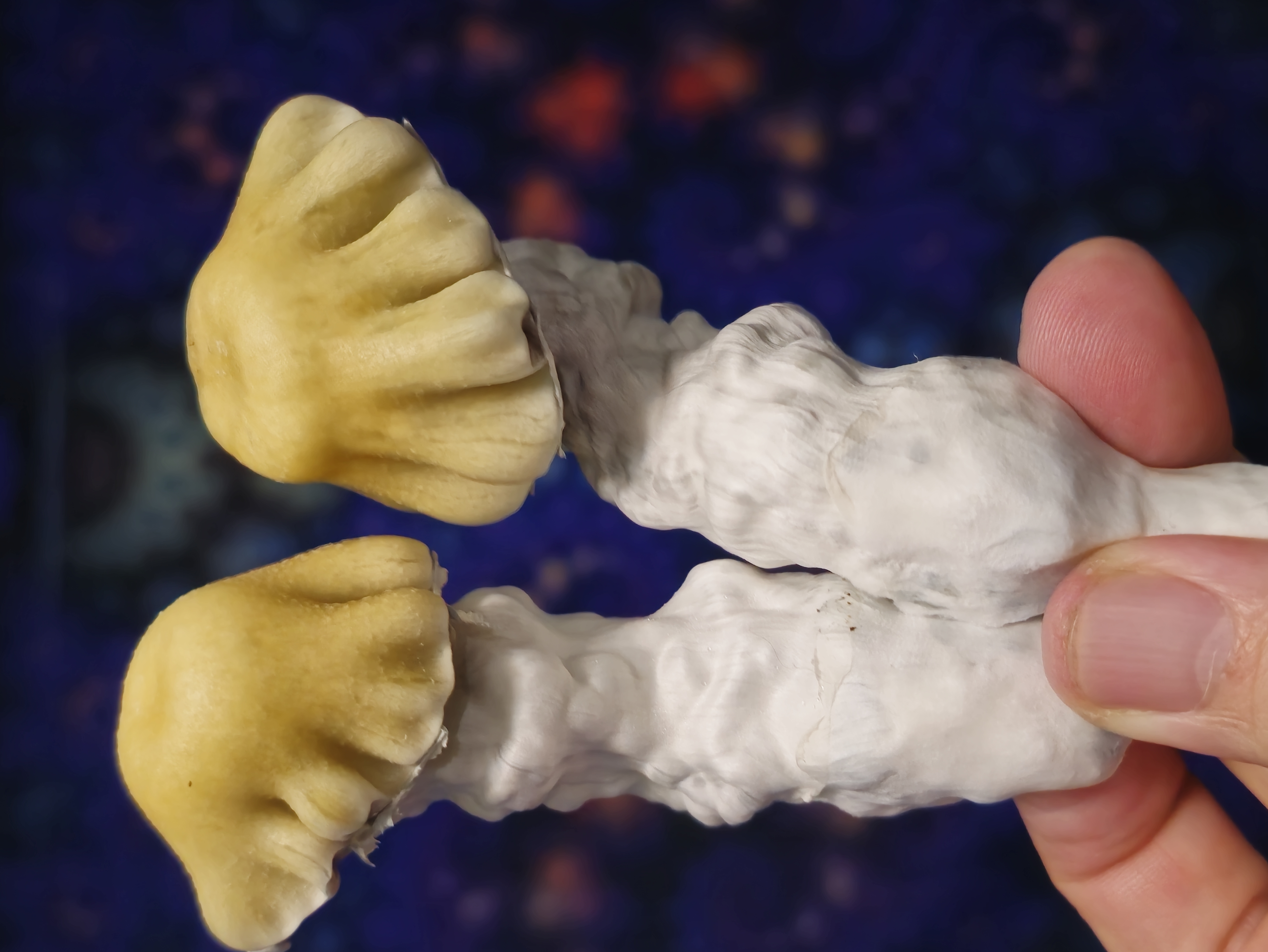 Rumplestiltzkin "P" Swabs