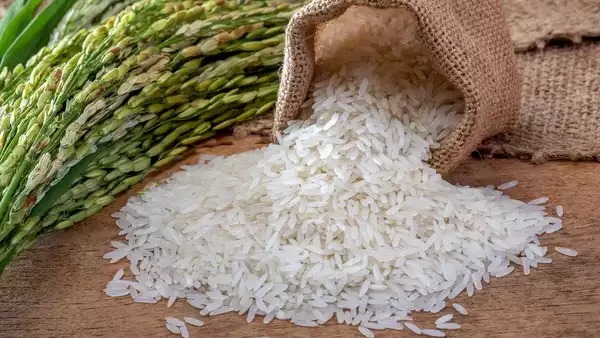 Sona Masoori Rice 25 Kgs