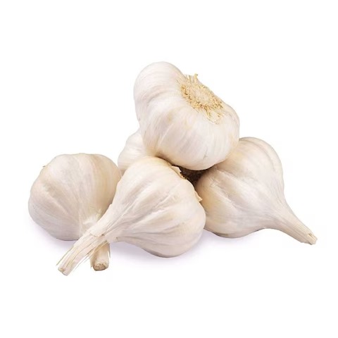 Garlic 1Kgs