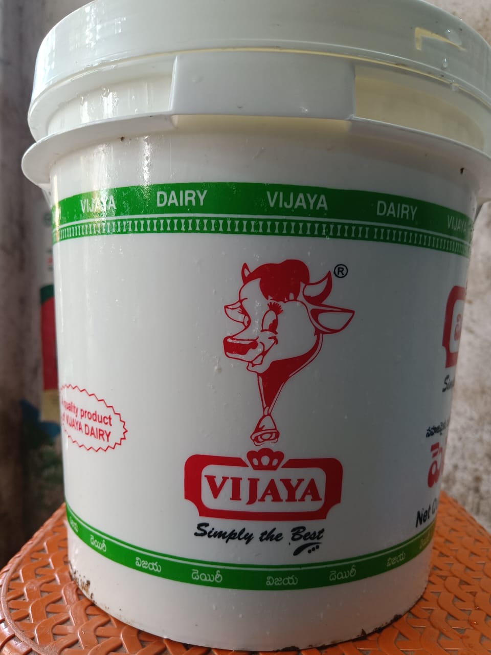 Curd 20 Kgs