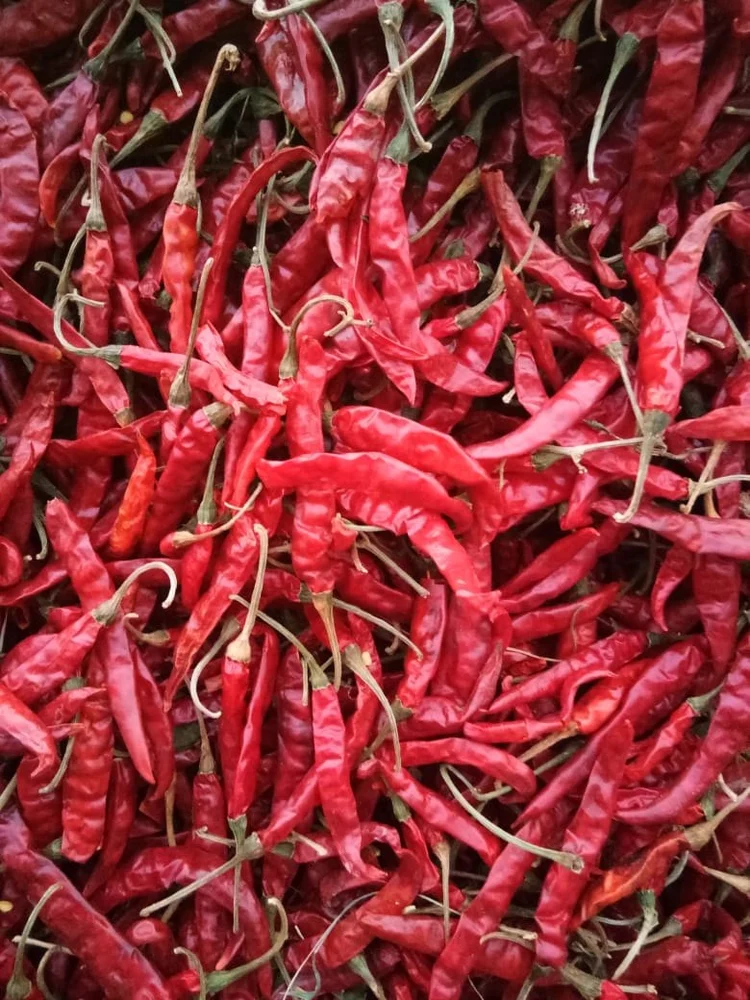 Red Super Deluxe Teja Chili