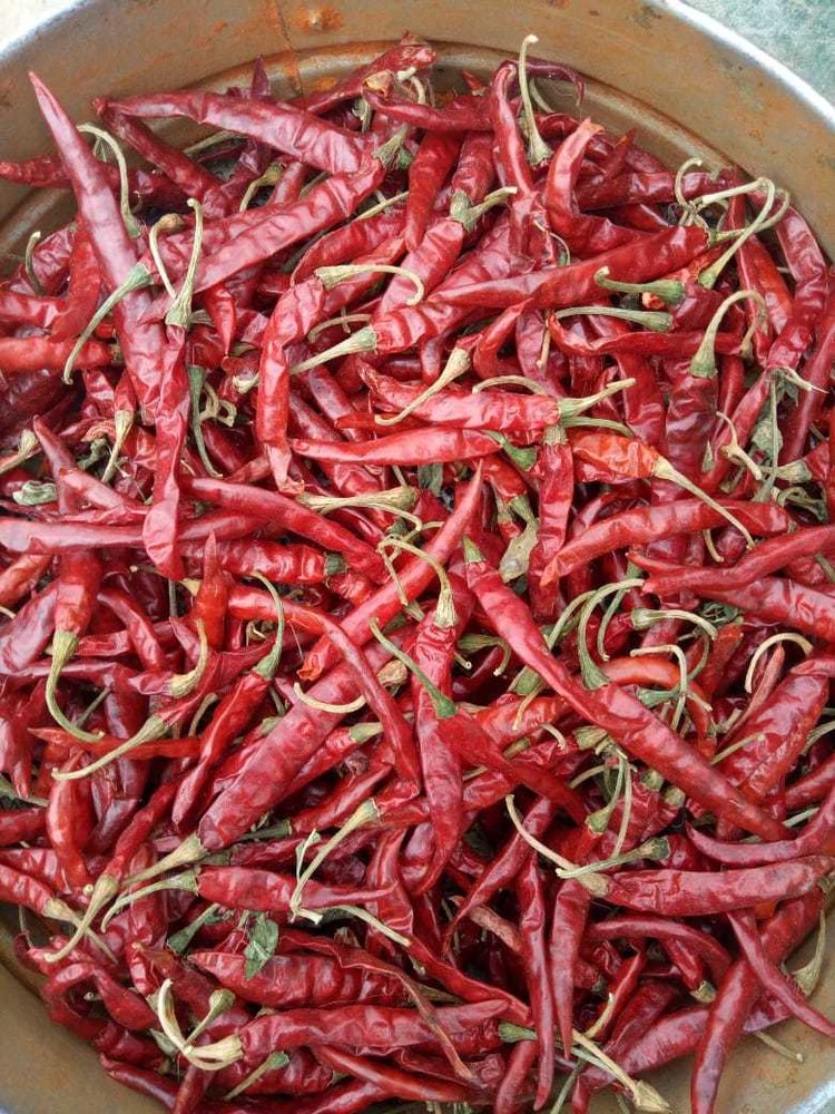 Red Super Deluxe Teja Chili