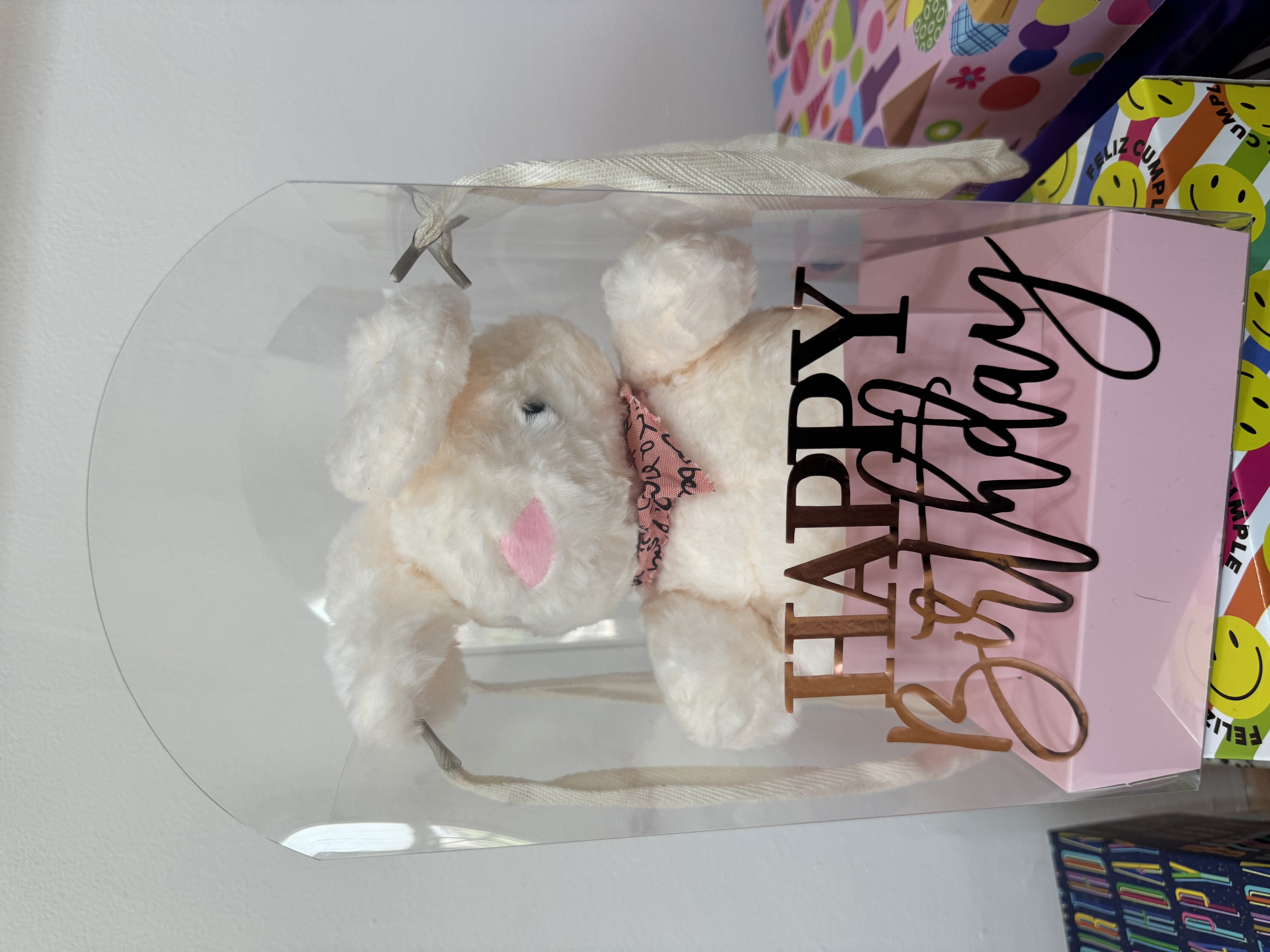 BOLSA DE REGALO TRANSPARENTE