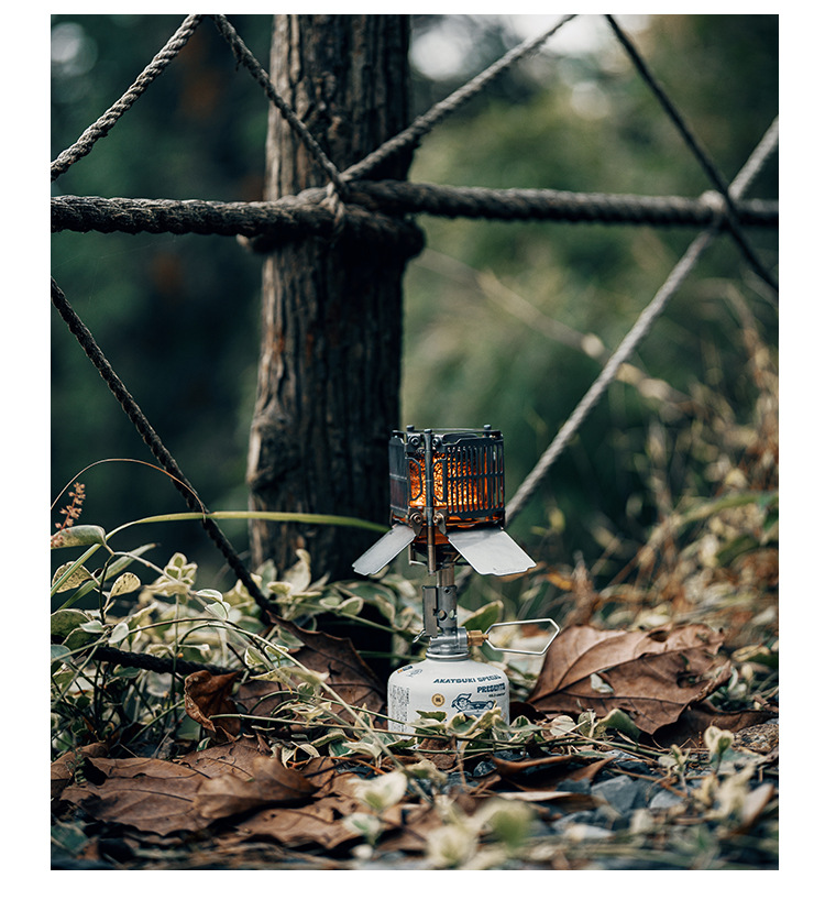 Bếp sưởi gas Goout Springhill