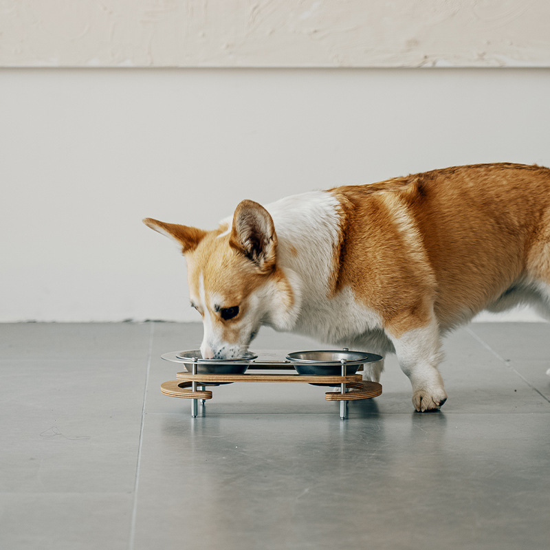 Xihe Pet Food Bowl - Goout SpringHill
