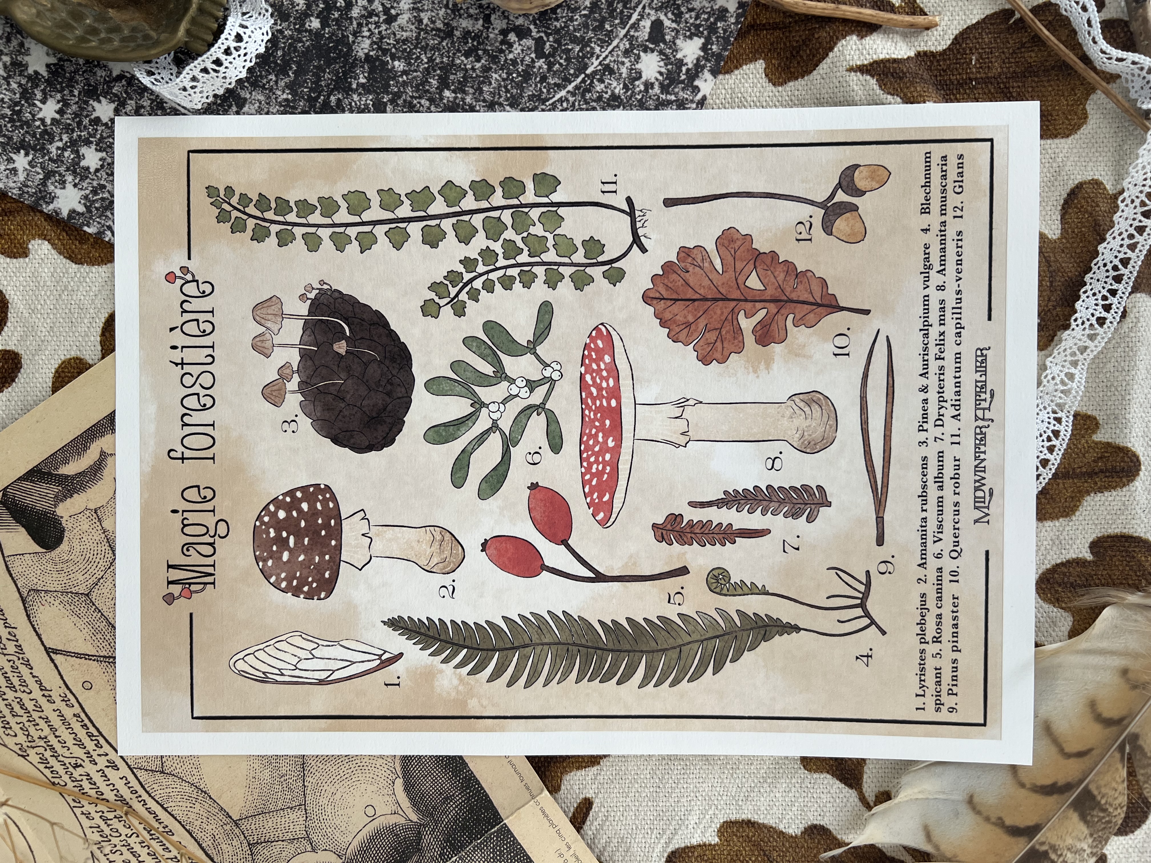 Print 'Magie Forestière' 
