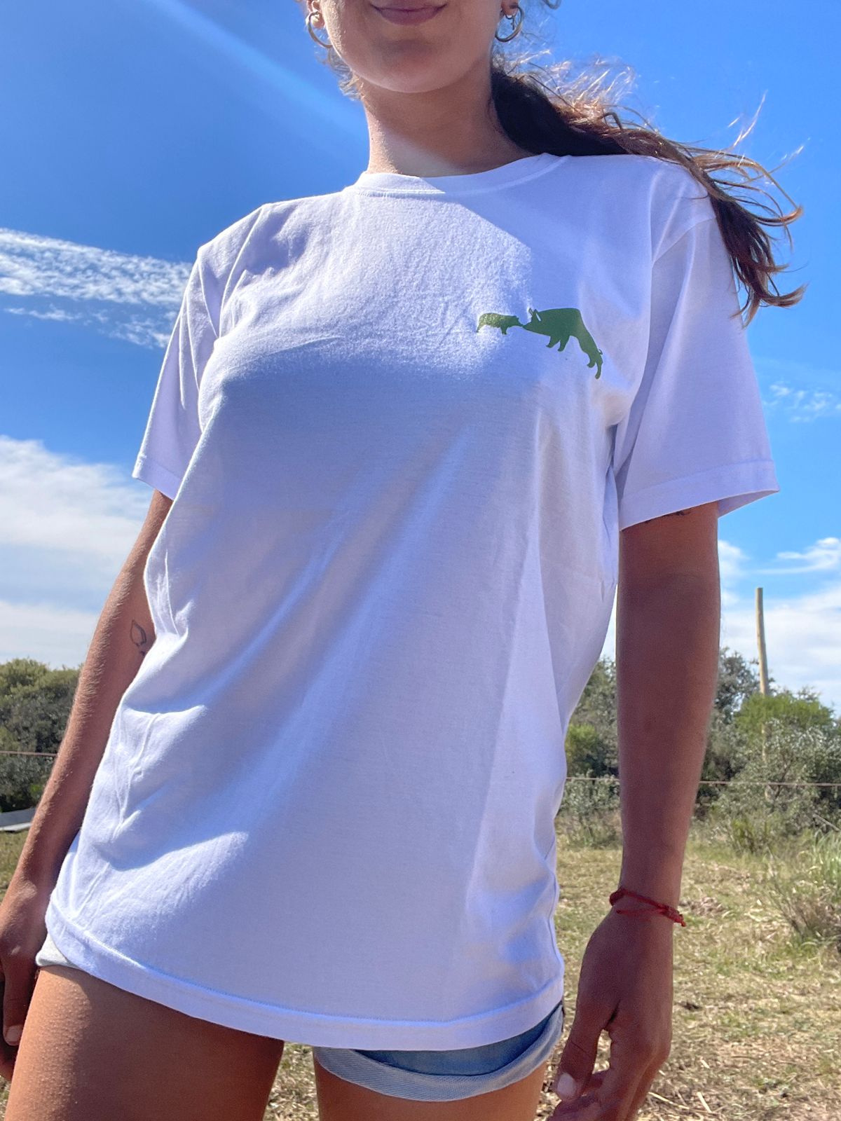 Remera Blanca - Santuario