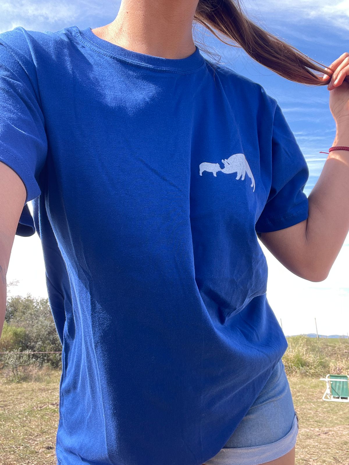 Remera Azul - Santuario