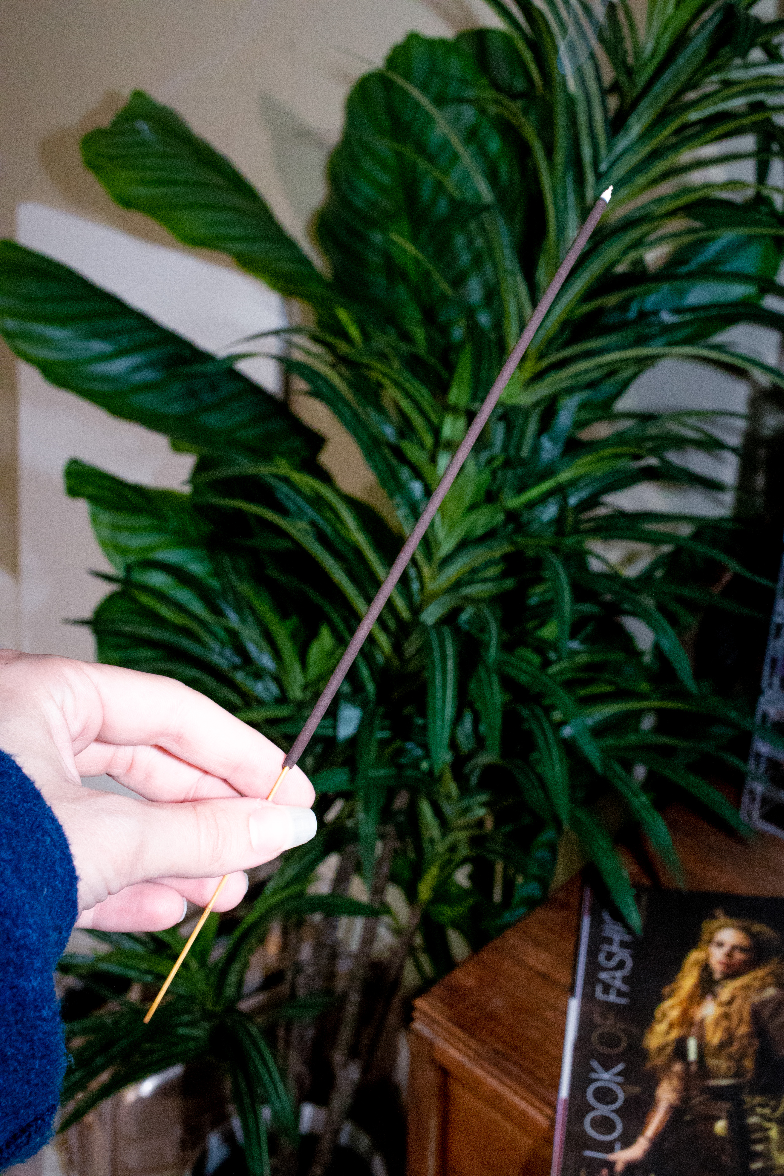 Manic Pixie DREAMSICLE Incense