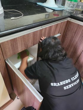 Basic Essential Cleaning