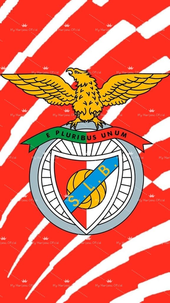 Tela Orgulho Encarnado 40x30cm Diamantes Redondos AB - 2107