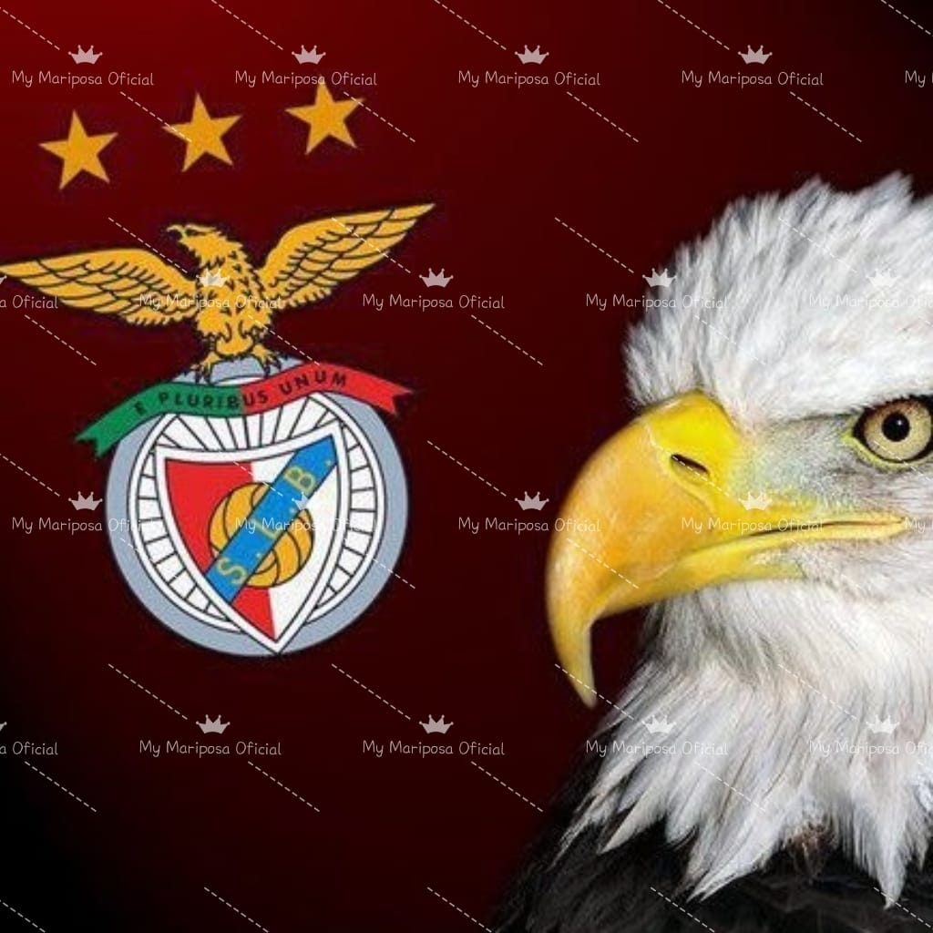 Tela Clube Futebol Benfica 50x50cm - 2255
