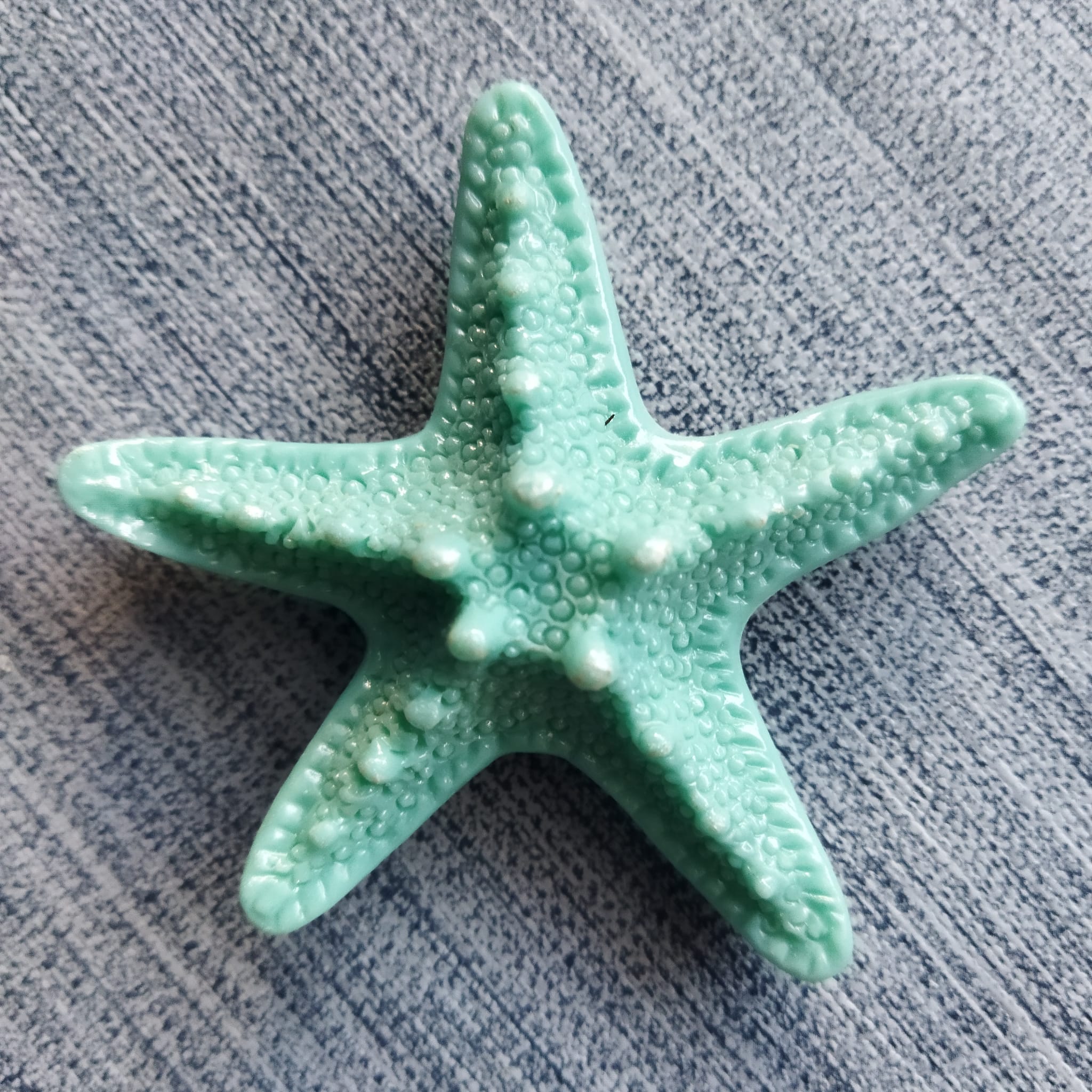 Cover Minder Estrela do Mar