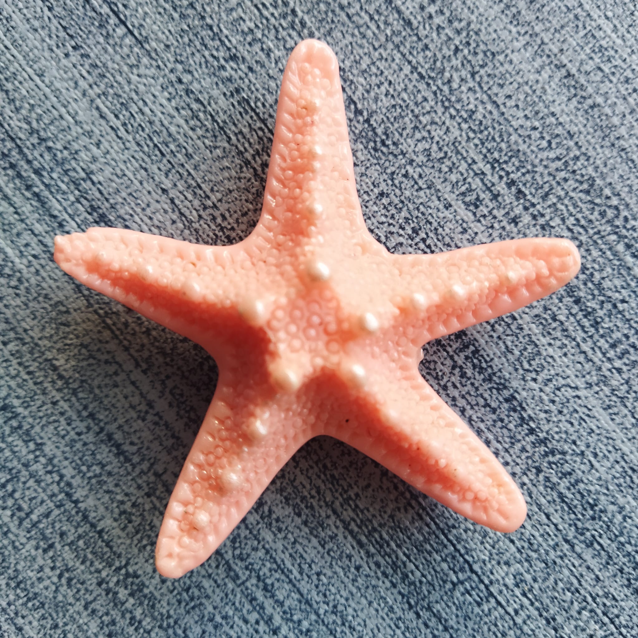 Cover Minder Estrela do Mar