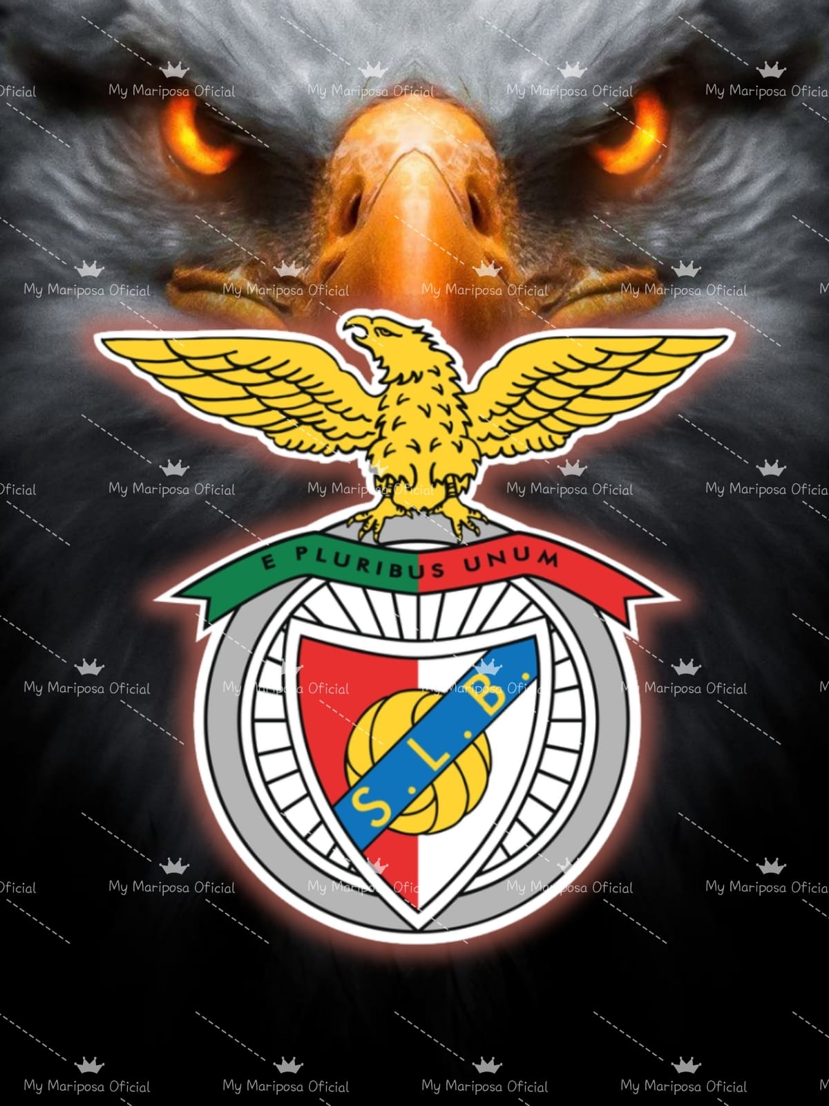 Tela Clube Futebol Benfica 50x70cm - 2257