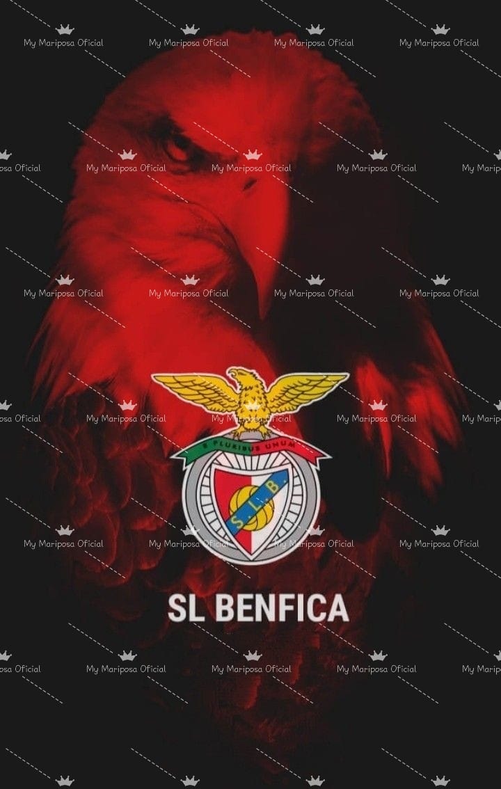 Tela Clube Futebol Benfica 50x70cm - 2259