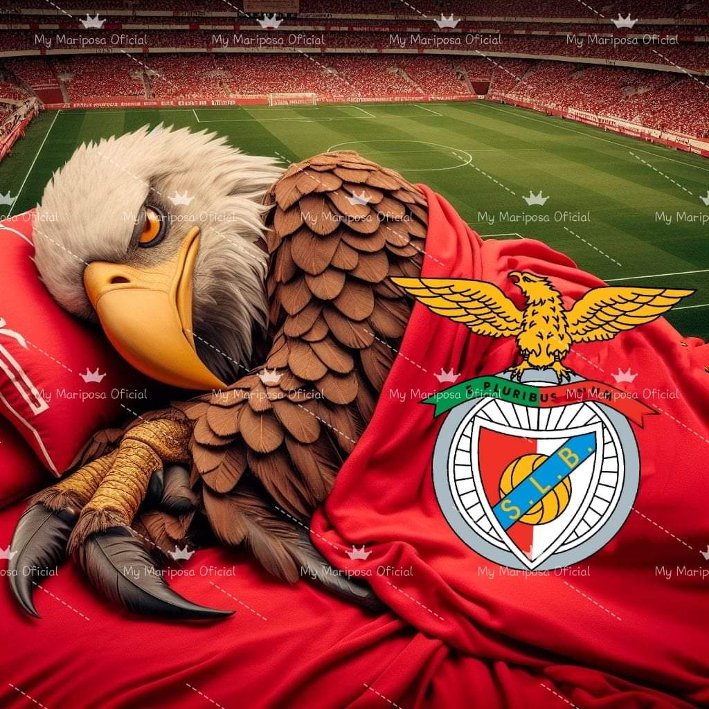 Tela Clube Futebol Benfica 50x50cm - 2262