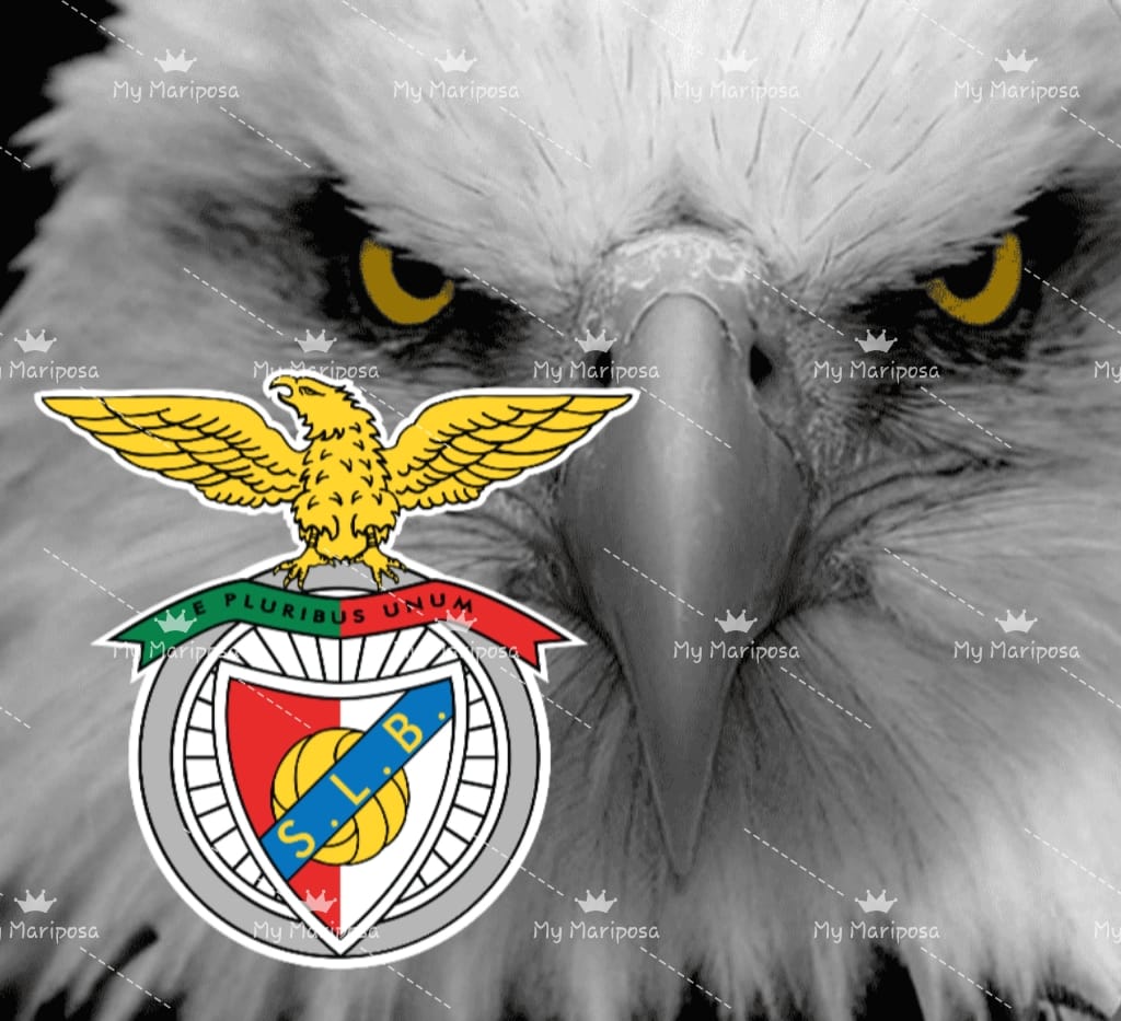 Tela Clube Futebol Benfica 50x50cm - 2265